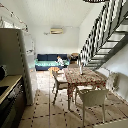 Petite Maison A 100m De La *